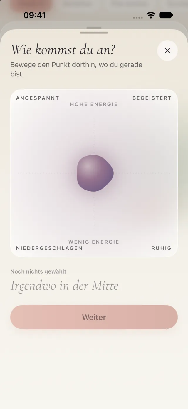 Check-in „Wie kommst du an?“: ein Punkt auf einer Fläche zwischen angespannt und ruhig, hoher und wenig Energie.